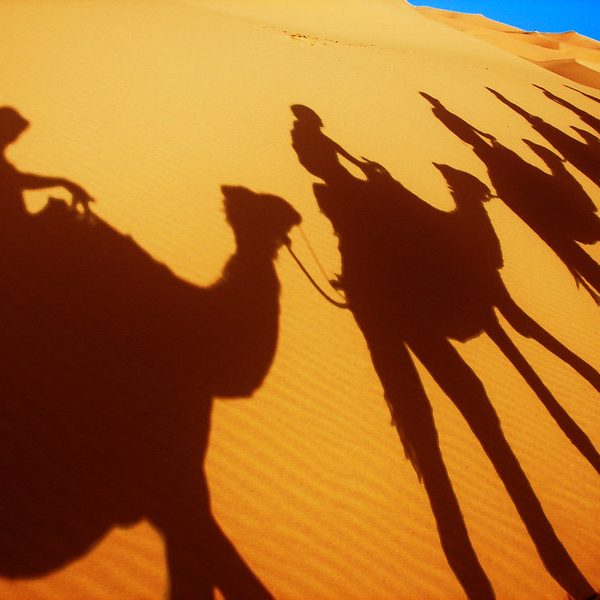 Camel caravan shadow