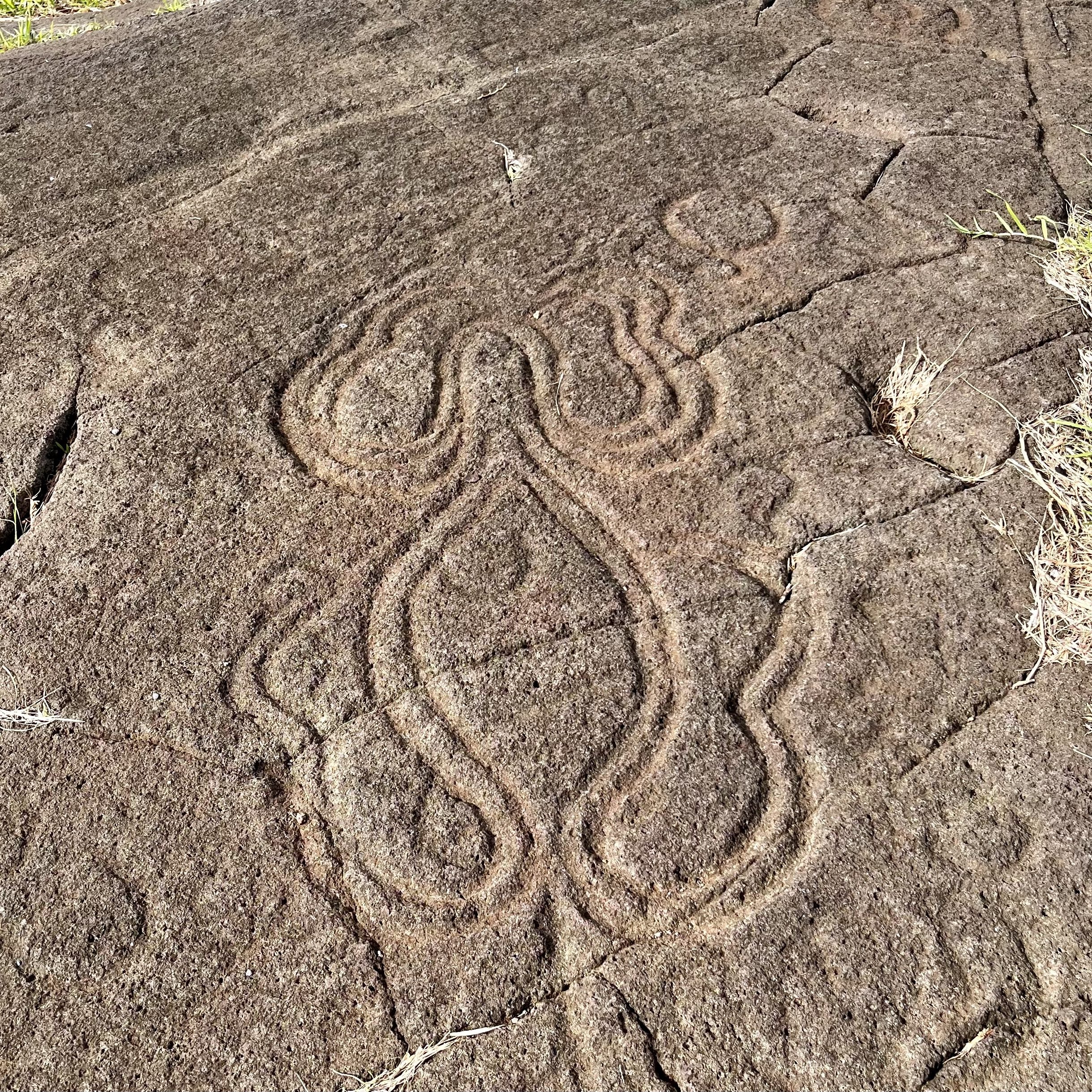 Octopus Petroglyph