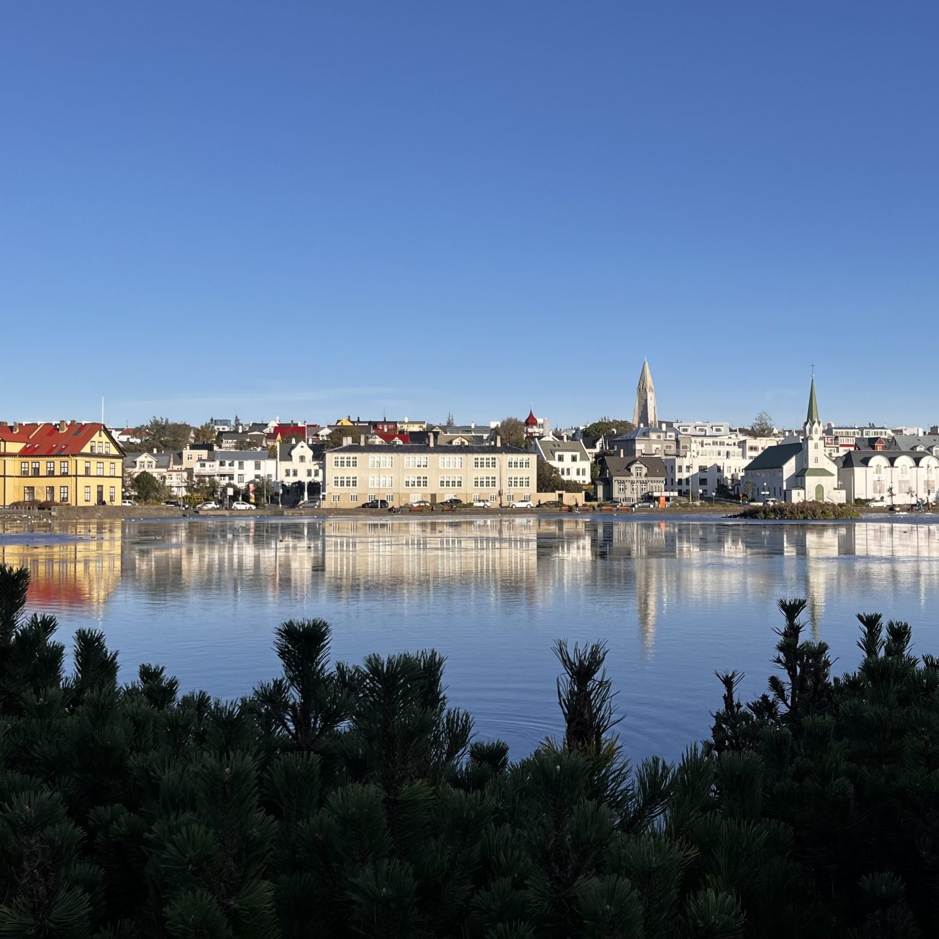 Reykjavik Scene