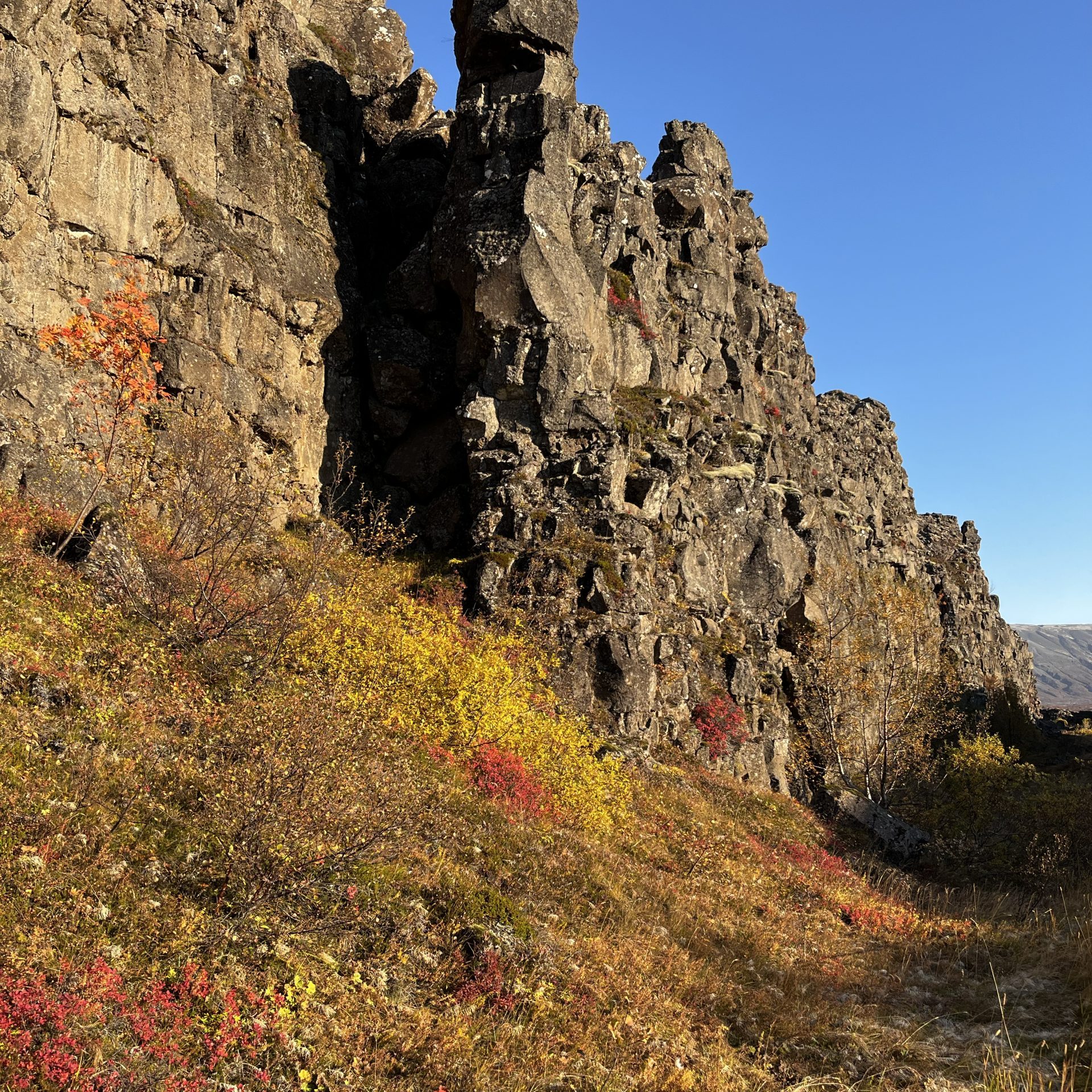 Thingvellir Fall 2024