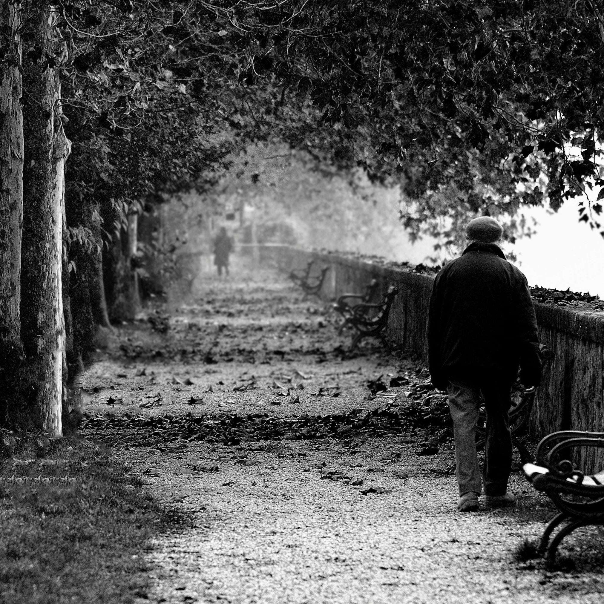 Adriano Cantarello 5mgf6cmmnt8 Unsplash Adriano Cantarello 5mgf6cmmnt8 Unsplash