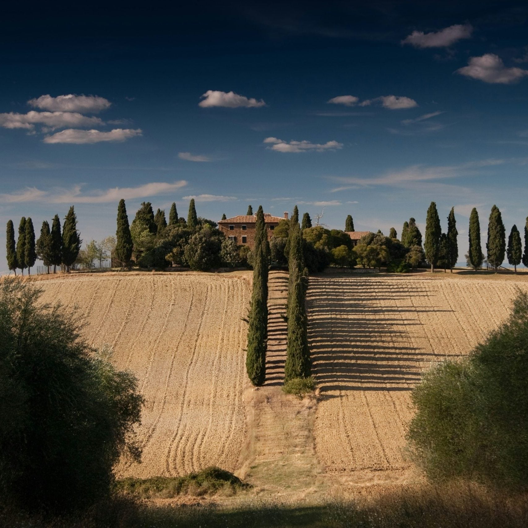Tuscan countryside Anton Sulsky Ycfcxxo7rpc Unsplash