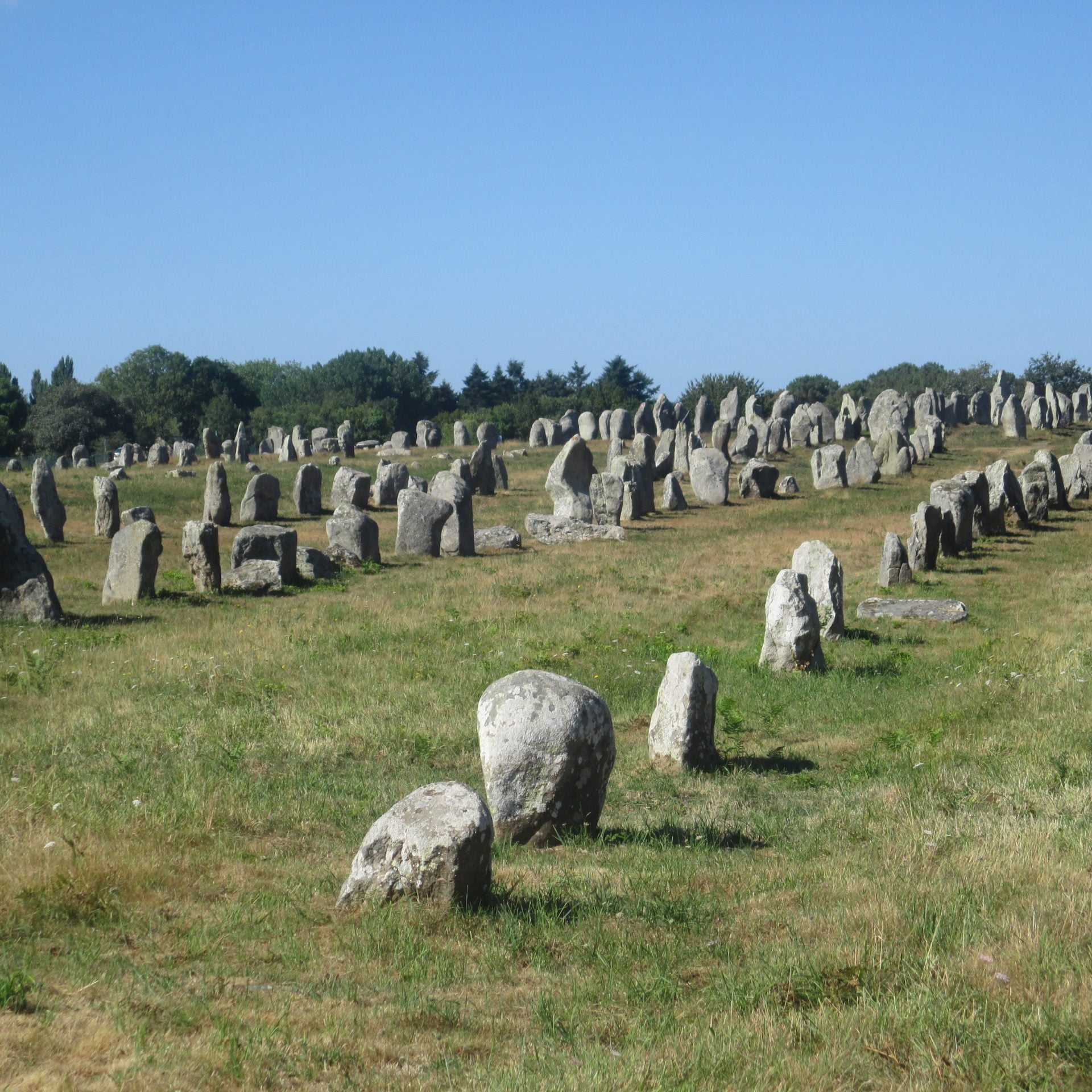 Carnac rows Carnac rows
