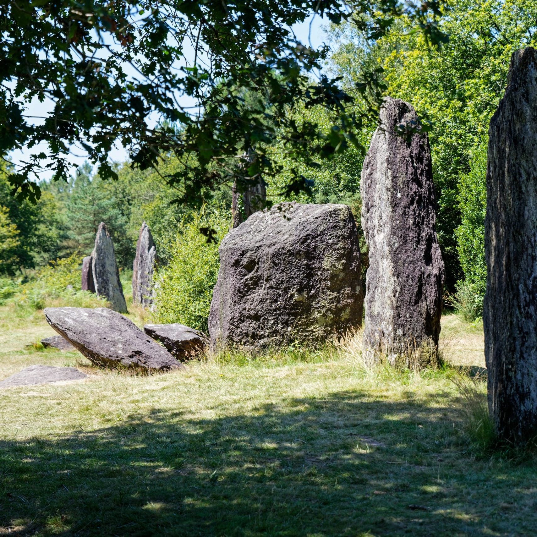 Menhirs De Monteneuf Menhirs De Monteneuf